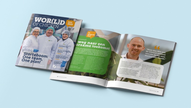 People collaborating